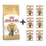 Royal Canin British Shorthair 4 kg Yetişkin Kedi Maması + 6 Adet Yaş Mama