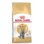 Royal Canin British Shorthair 4 kg Yetişkin Kedi Maması+Elekli Kedi Tuvalet Paspası