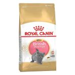 Royal Canin British Shorthair Açık Yavru Kedi Maması 1 Kg