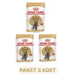Royal Canin British Shorthair Adult Yetişkin Yaş 3x85 gr Kedi Mama