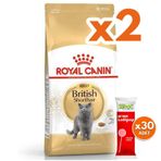 Royal Canin British Shorthair Irk Kedi Maması 10 Kg x 2 Adet + 30 Adet Wooc Lolipop Ödül