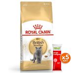 Royal Canin British Shorthair Irk Kedi Maması 2 Kg + 5 Adet Wooc Lolipop Ödül