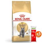 Royal Canin British Shorthair Irk Kedi Maması 4 Kg + 5 Adet Wooc Lolipop Ödül