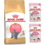 Royal Canin British Shorthair Kitten 2 kg Yavru Kedi Maması + Royal Canin Kitten 2 Adet Yaş Mama