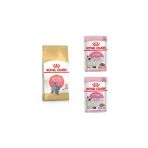 Royal Canin British Shorthair Yavru Kedi Maması 2 Kg + 2 Adet Kitten Pouch Yaş Mama 85Gr