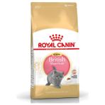 Royal Canin British Shorthair Yavru Özel İçerik 2 kg Kuru Kedi Maması