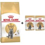 Royal Canin British Shorthair Yetişkin 4 kg Kedi Maması + 2 Adet Yaş Mama Hediye