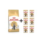 Royal Canin British Shorthair Yetişkin Kedi Maması 2 kg + 6 Adet Yaş Mama