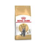 Royal Canin British Shorthair Yetişkin Kedi Maması 4 kg Beyaz Et Lezzeti ile Premium Kalite