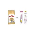 Royal Canin British Shorthair Yetişkin Kedi Maması 4 Kg + Gimcat Malt 100 Gr 3182550756440-815