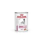 Royal Canin Cardiac Konserve Köpek Maması 400 Gr