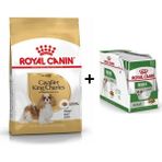 Royal Canin Cavalier King Charles 1.5 kg Yetişkin Köpek Maması + 12 Adet Yaş Mama