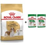 Royal Canin Cavalier King Charles 1.5 kg Yetişkin Köpek Maması + 2 Adet Hediye Yaş Mama