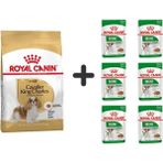 Royal Canin Cavalier King Charles 1.5 kg Yetişkin Köpek Maması + 6 Adet Yaş Mama
