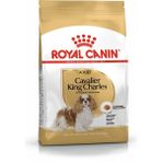 Royal Canin Cavalier King Charles Kuru Köpek Maması Av Eti 1.5kg Yetişkin Köpekler İçin Özel Formül