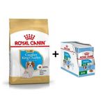 Royal Canin Cavalier King Charles Yavru Köpek Maması 1.5 kg+12 Adet Yaş Mama