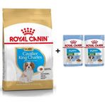 Royal Canin Cavalier Kingr Charles 1.5 kg Yavru Köpek Maması + 2 Adet Yaş Mama