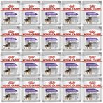Royal Canin Ccn Sterilised Pouch 20x85 gr Köpek Yaş Maması