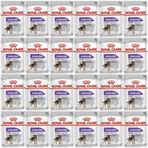 Royal Canin Ccn Sterilised Pouch 24x85 gr Köpek Yaş Maması