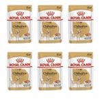 Royal Canin Chihuahua 6x85 gr Yetişkin Köpek Maması
