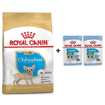 Royal Canin Chihuahua Junior 1.5 kg Yavru Köpek Maması + 2 Adet Hediye Yaş Mama