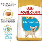 Royal Canin Chihuahua Puppy 1,5 kg Yavru Köpek Maması + Temizlik Mendili