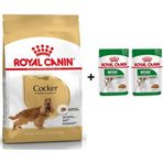 Royal Canin Cocker 3 kg Yetişkin Köpek Maması + 2 Adet Hediye Yaş Mama