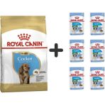 Royal Canin Cocker Junior 3 kg Yavru Köpek Maması + 6 Adet Yaş Mama