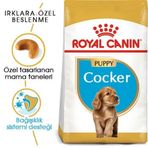 Royal Canin Cocker Puppy Irk 3 kg Yavru Köpek Maması + 2 Adet Temizlik Mendili