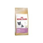 Royal Canin Feline Kitten British Shorthair 2 kg Yavru Kedi Maması