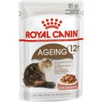 Royal Canin Fhn Ageıng +12 Yaşlı Özl 12x85 gr Kedi Maması