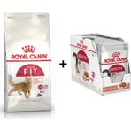 Royal Canin Fit 32 15 kg Kuru Kedi Maması + Instinctive Gravy 12x85 gr Yaş Kedi Maması