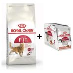 Royal Canin Fit 32 4 kg Kedi Maması + 12 Adet Yaş Mama
