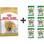 Royal Canin French Bulldog 3 kg Yetişkin Köpek Maması + 6 Adet Yaş Mama