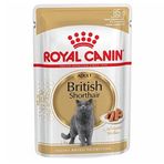 Royal Canin Gravy British Shorthair 12x85 gr Yetişkin Kedi Konserve