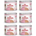 Royal Canin Hamile Anne ve Yavru Kediler İçin Süper Premium Konserve Mama 195 gr x 6 Karışık Tat