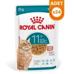 Royal Canin Healthy Ageing 11+ Sos İçinde Pouch Yaşlı Konserve Kedi Maması - 85 Gr 24 Adet