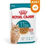 Royal Canin Healthy Ageing 11+ Sos İçinde Pouch Yaşlı Konserve Kedi Maması - 85 Gr 6 Adet