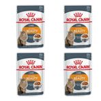 Royal Canin Intense Beauty Jelly 4x85 gr Yaş Kedi Maması