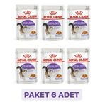 Royal Canin Jelly Sterilised Kısırlaştırılmış 6x85 gr Yaş Kedi Mama
