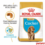 Royal Canin Junior Cocker 3 kg Yavru Köpek Maması