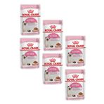 Royal Canin Kitten 6x85 gr Gravy Pouch Yavru Kedi Konservesi