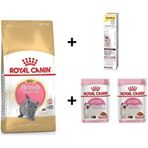 Royal Canin Kitten British Shorthair 2 kg Yavru Kedi Maması + 2 Adet Yaş Mama 85 gr + 20 gr Gimcat Malt