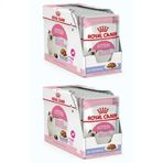 Royal Canin Kitten Jelly Pouch 24x85 gr Yavru Konserve Kedi Maması