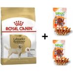 Royal Canin Labradorlar 12 kg Yetişkin Kuru Köpek Maması + 2x80 gr Wooc Ödül