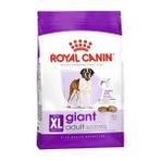 Royal Canin Maxi Dev Irklar İçin Yetişkin Köpek Maması 15 Kg Av Eti İçerikli Sağlıklı Beslenme