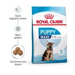 Royal Canin Maxi Puppy 10 kg Yavru Köpek Maması