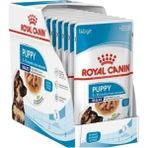 Royal Canin Maxi Puppy Gravy Yavru 10x140 gr Konserve Köpek Maması