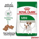 Royal Canin Mini 1 kg Yetişkin Köpek Maması