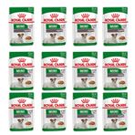 Royal Canin Mini Ageing +12 12x85 gr Yaşlı Köpek Konserve